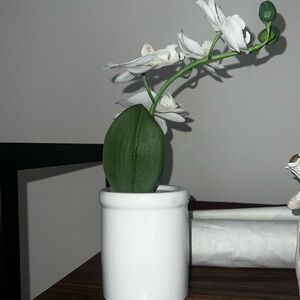Faux Orchid Indoor Plant